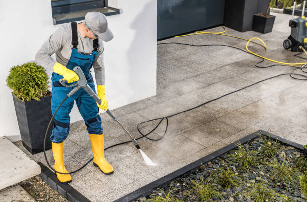 Best Gutter Cleaning in Teutopolis, IL